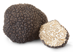 Tartufo Nero Estivo (Tuber Aestivum Vittadini) - immagine 4