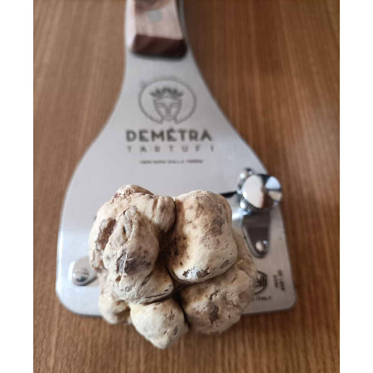 Tagliatartufi INOX con manico in legno - immagine 2